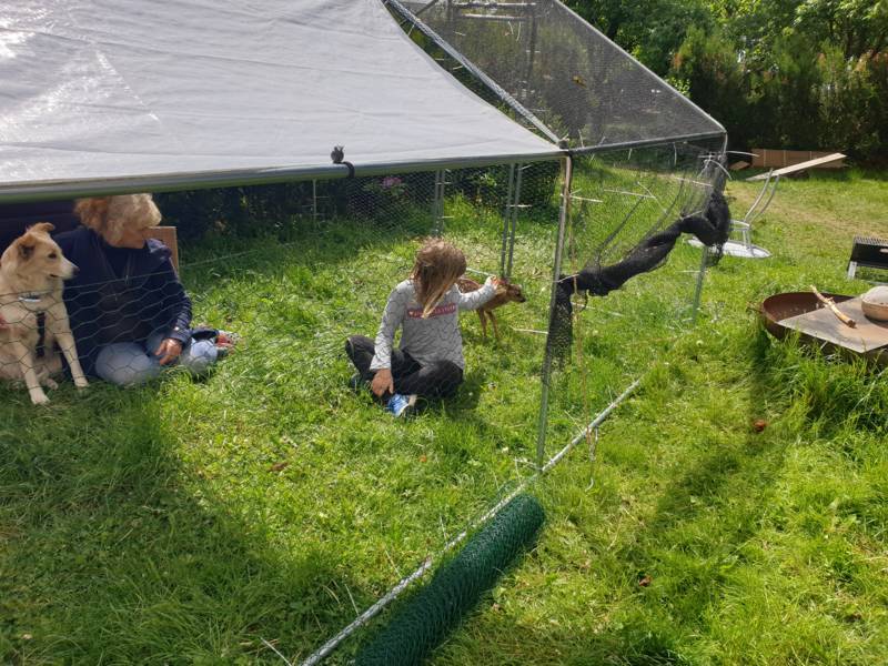 20220527_111029 __k.jpg